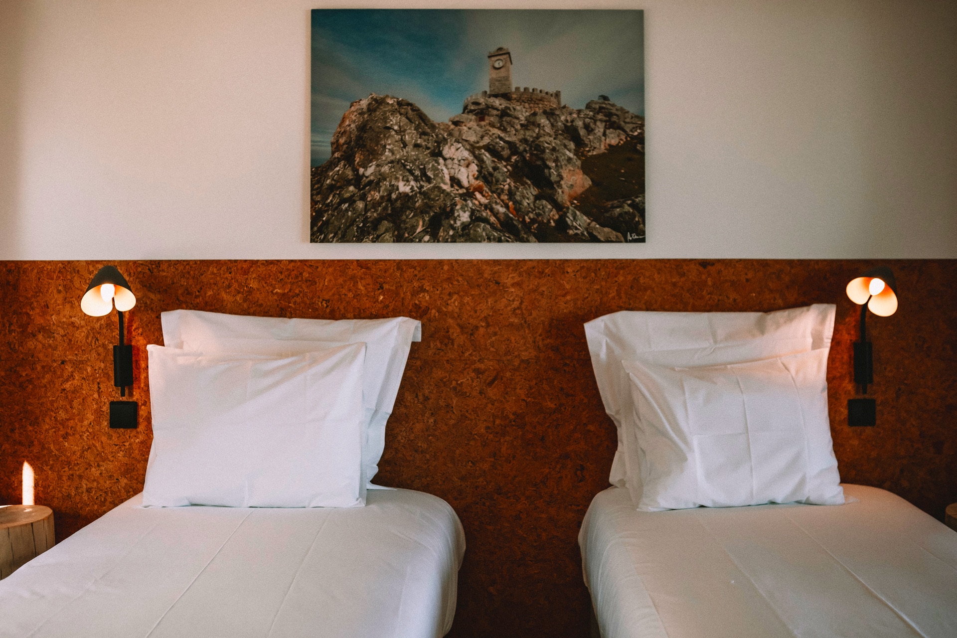 ES-estrela-serenity-room-types-premium-plus-lake-room-double-twin-00001b.jpg