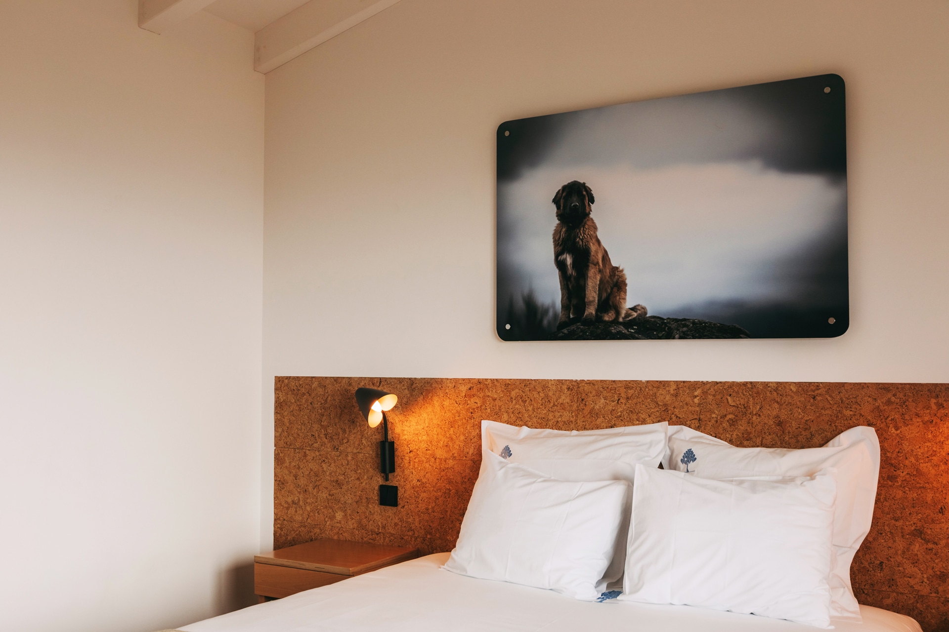 ESTRE-Premium-Pet-Room-001-1.jpg